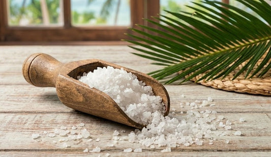 Meet the Team: Salt — The Sixth Man